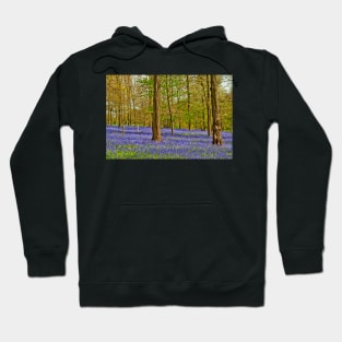 Bluebell Woods Greys Court Oxfordshire UK Hoodie